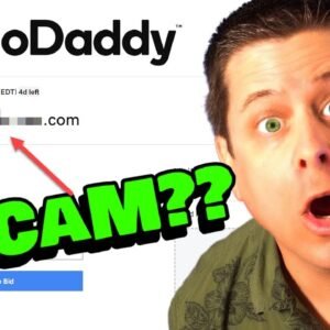 $27,000 Domain Scam Reveals Hidden Profit Strategy!