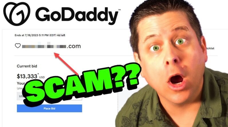 $27,000 Domain Scam Reveals Hidden Profit Strategy!